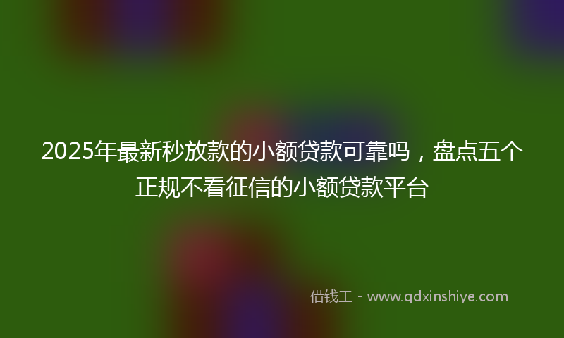 2025年最新秒放款的小额贷款可靠吗，盘点五个正规不看征信的小额贷款平台