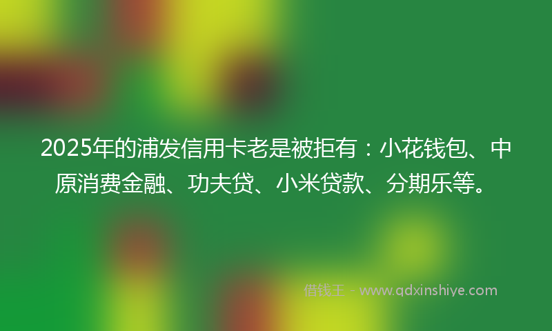 2025年的浦发信用卡老是被拒有：小花钱包、中原消费金融、功夫贷、小米贷款、分期乐等。