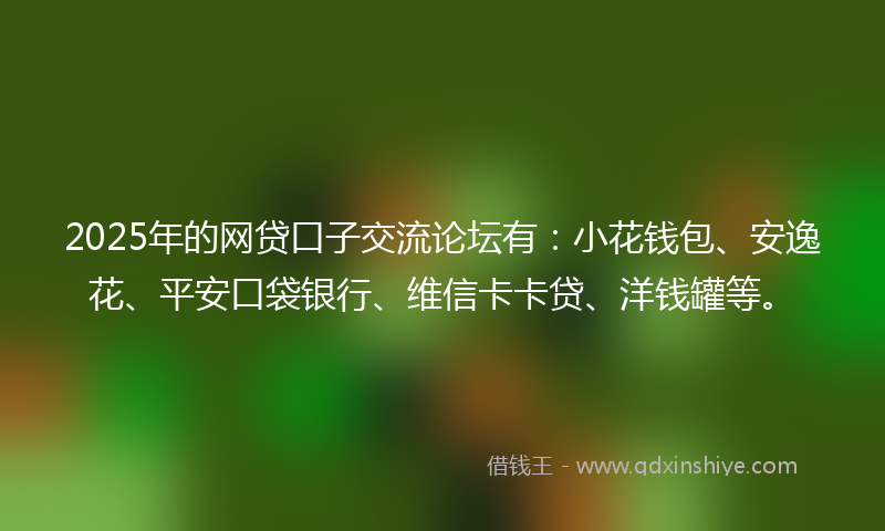 2025年的网贷口子交流论坛有：小花钱包、安逸花、平安口袋银行、维信卡卡贷、洋钱罐等。