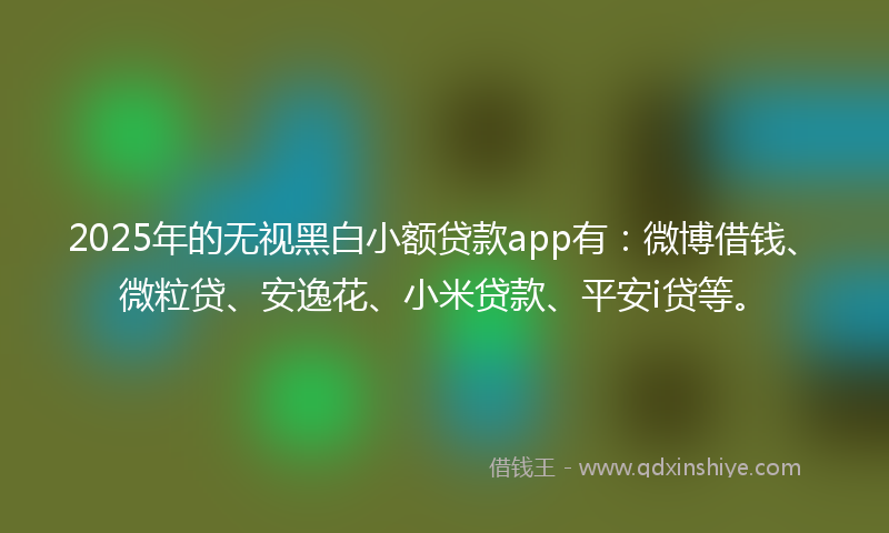 2025年的无视黑白小额贷款app有：微博借钱、微粒贷、安逸花、小米贷款、平安i贷等。