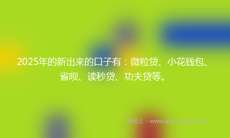 2025年的新出来的口子有：微粒贷、小花钱包、省呗、读秒贷、功夫贷等。