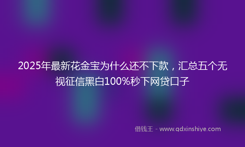 2025年最新花金宝为什么还不下款，汇总五个无视征信黑白100%秒下网贷口子