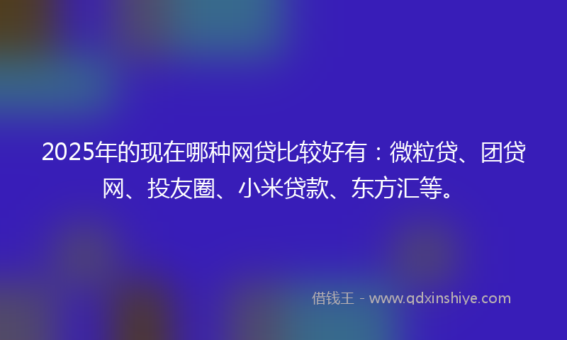 2025年的现在哪种网贷比较好有：微粒贷、团贷网、投友圈、小米贷款、东方汇等。