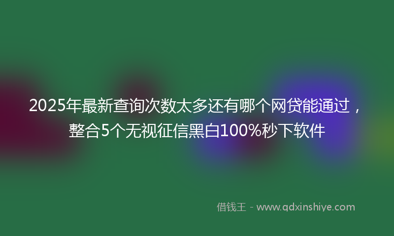 2025年最新查询次数太多还有哪个网贷能通过，整合5个无视征信黑白100%秒下软件