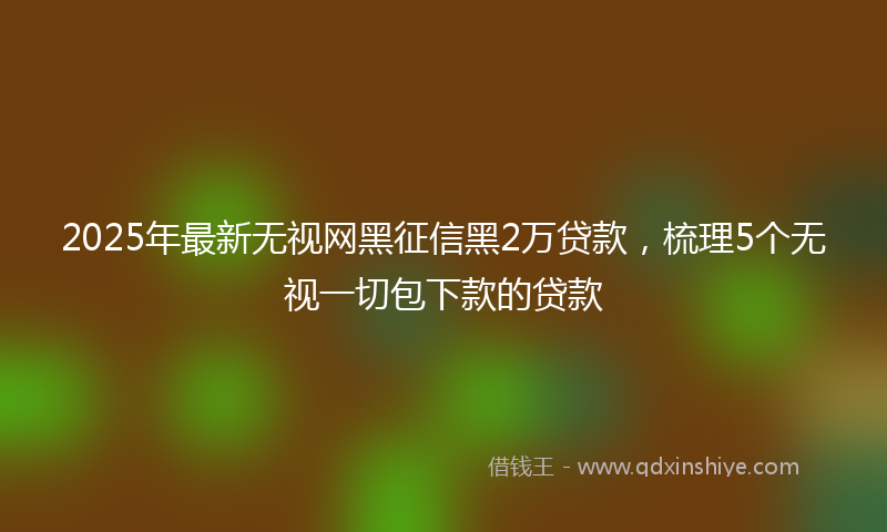 2025年最新无视网黑征信黑2万贷款，梳理5个无视一切包下款的贷款