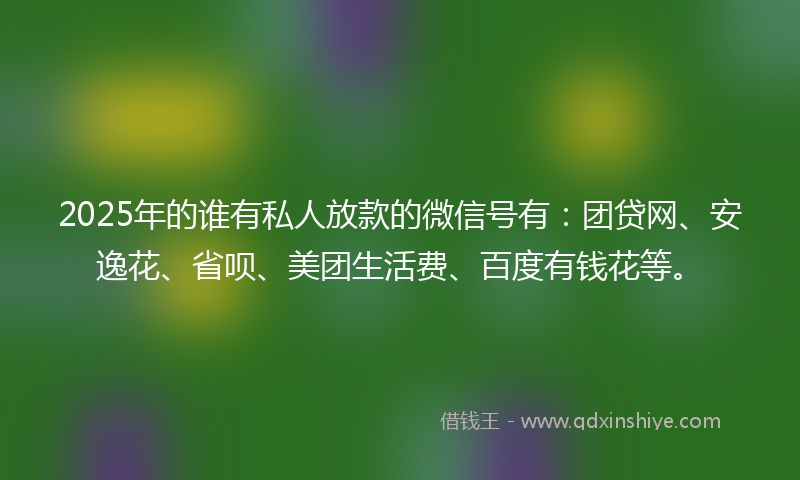 2025年的谁有私人放款的微信号有：团贷网、安逸花、省呗、美团生活费、百度有钱花等。