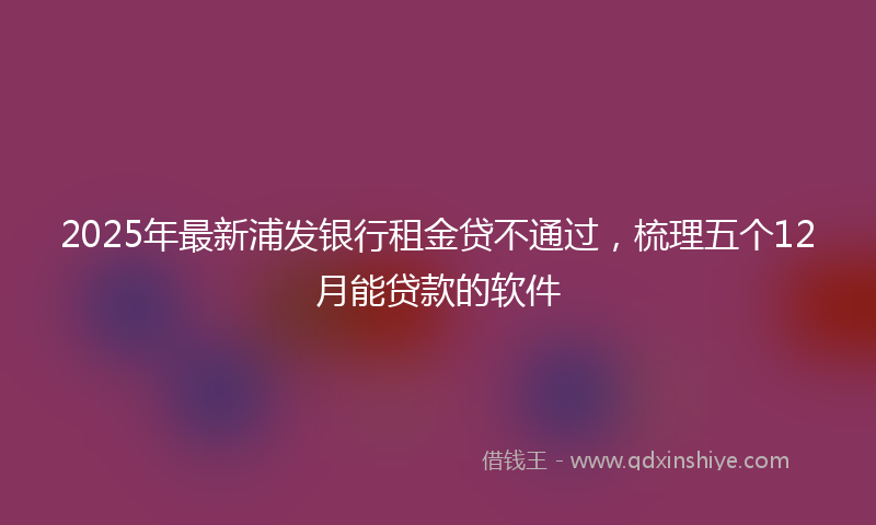 2025年最新浦发银行租金贷不通过，梳理五个12月能贷款的软件
