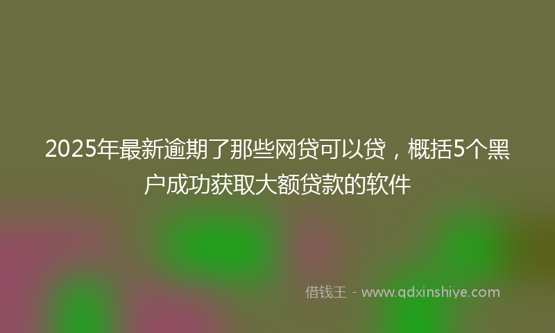 2025年最新逾期了那些网贷可以贷，概括5个黑户成功获取大额贷款的软件