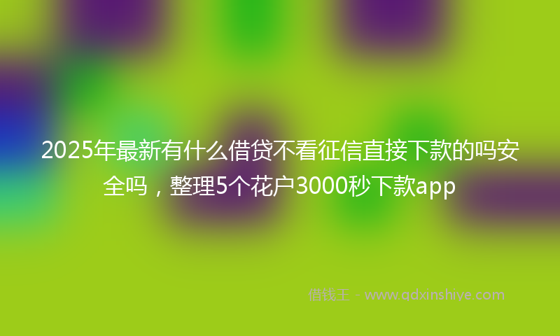 2025年最新有什么借贷不看征信直接下款的吗安全吗，整理5个花户3000秒下款app