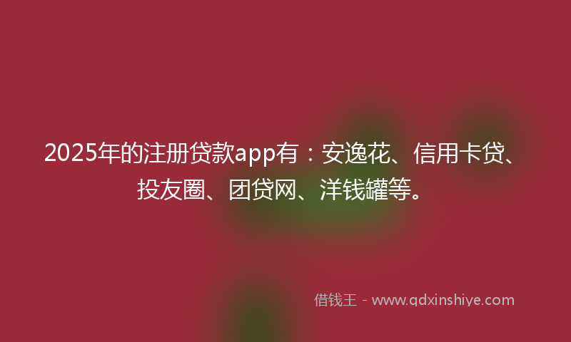 2025年的注册贷款app有：安逸花、信用卡贷、投友圈、团贷网、洋钱罐等。