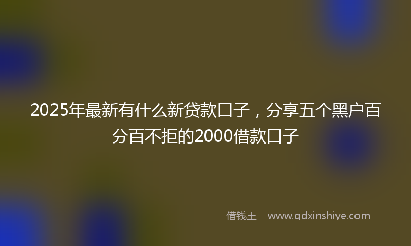 2025年最新有什么新贷款口子，分享五个黑户百分百不拒的2000借款口子