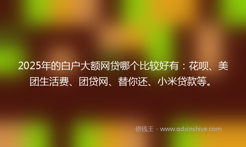 2025年的白户大额网贷哪个比较好有：花呗、美团生活费、团贷网、替你还、小米贷款等。