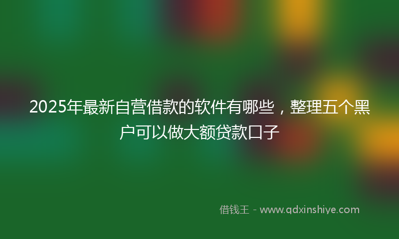 2025年最新自营借款的软件有哪些，整理五个黑户可以做大额贷款口子