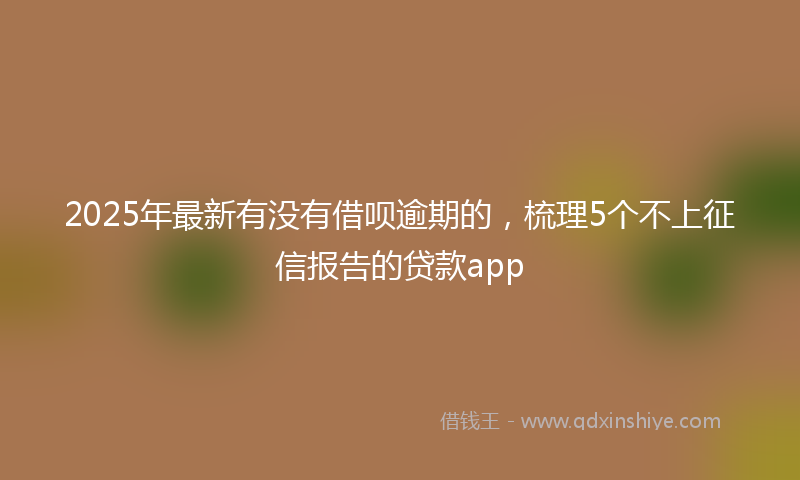 2025年最新有没有借呗逾期的，梳理5个不上征信报告的贷款app