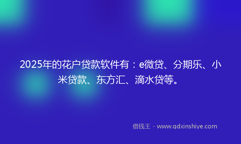 2025年的花户贷款软件有：e微贷、分期乐、小米贷款、东方汇、滴水贷等。