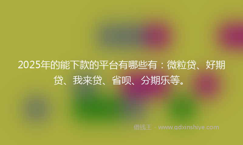 2025年的能下款的平台有哪些有：微粒贷、好期贷、我来贷、省呗、分期乐等。
