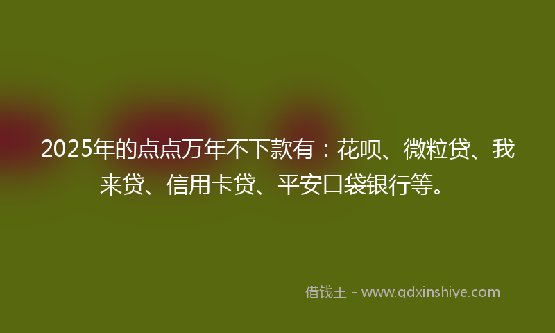2025年的点点万年不下款有：花呗、微粒贷、我来贷、信用卡贷、平安口袋银行等。