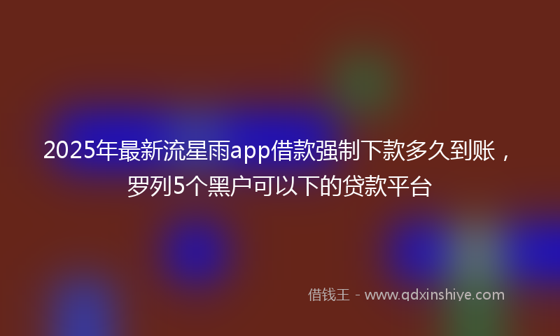 2025年最新流星雨app借款强制下款多久到账，罗列5个黑户可以下的贷款平台
