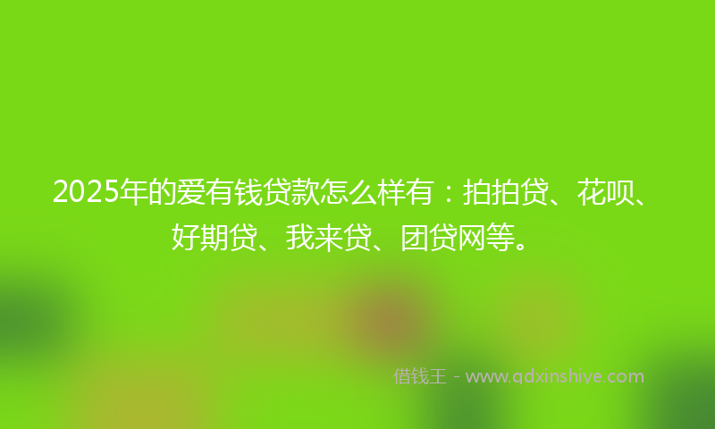 2025年的爱有钱贷款怎么样有：拍拍贷、花呗、好期贷、我来贷、团贷网等。
