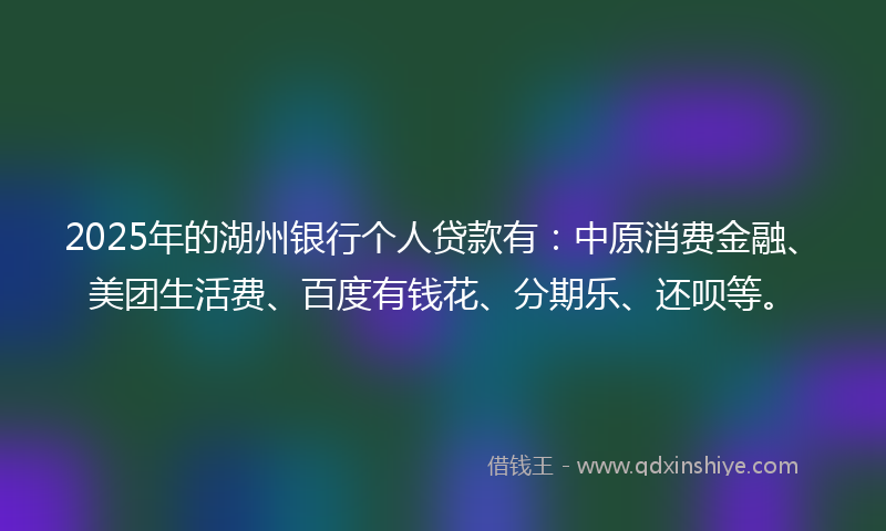 2025年的湖州银行个人贷款有：中原消费金融、美团生活费、百度有钱花、分期乐、还呗等。