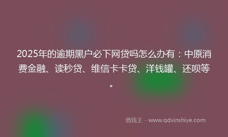 2025年的逾期黑户必下网贷吗怎么办有：中原消费金融、读秒贷、维信卡卡贷、洋钱罐、还呗等。