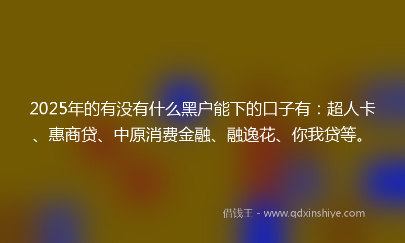 2025年的有没有什么黑户能下的口子有：超人卡、惠商贷、中原消费金融、融逸花、你我贷等。