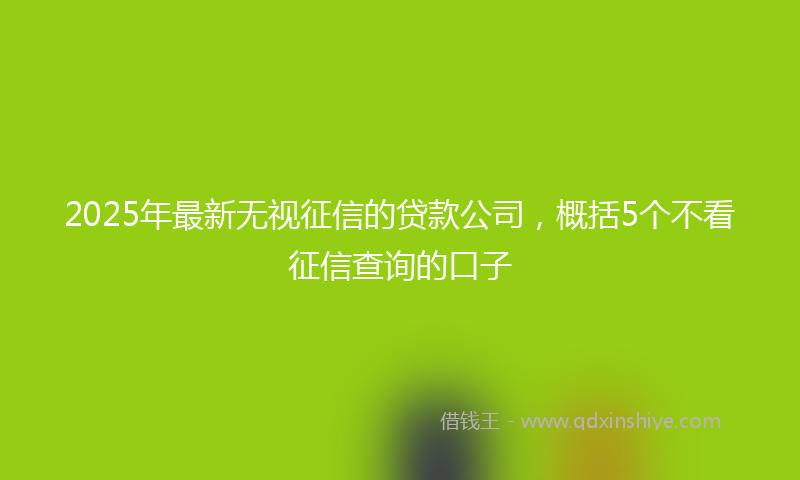 2025年最新无视征信的贷款公司，概括5个不看征信查询的口子