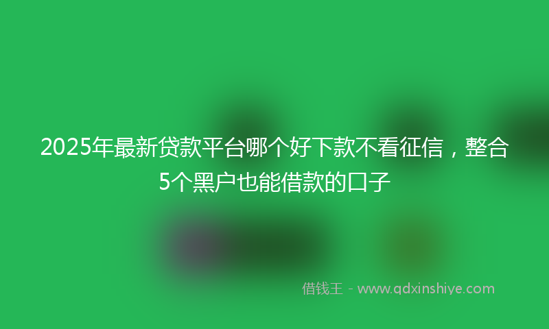 2025年最新贷款平台哪个好下款不看征信，整合5个黑户也能借款的口子