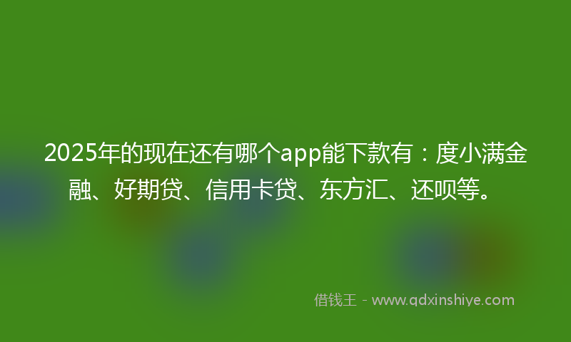 2025年的现在还有哪个app能下款有：度小满金融、好期贷、信用卡贷、东方汇、还呗等。