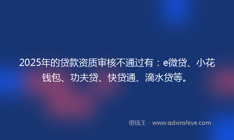 2025年的贷款资质审核不通过有：e微贷、小花钱包、功夫贷、快贷通、滴水贷等。