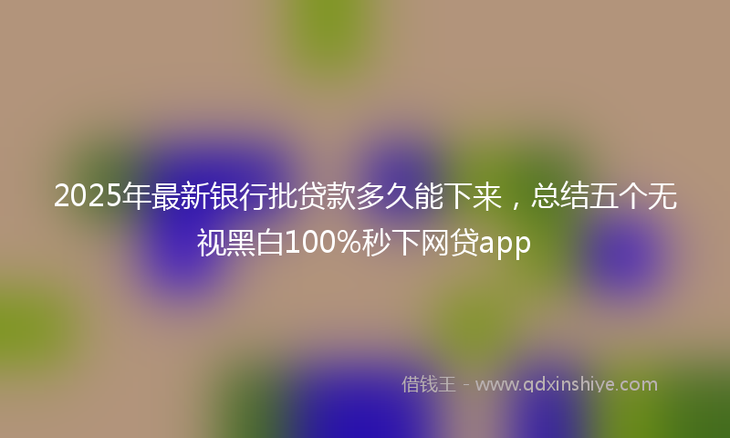 2025年最新银行批贷款多久能下来，总结五个无视黑白100%秒下网贷app