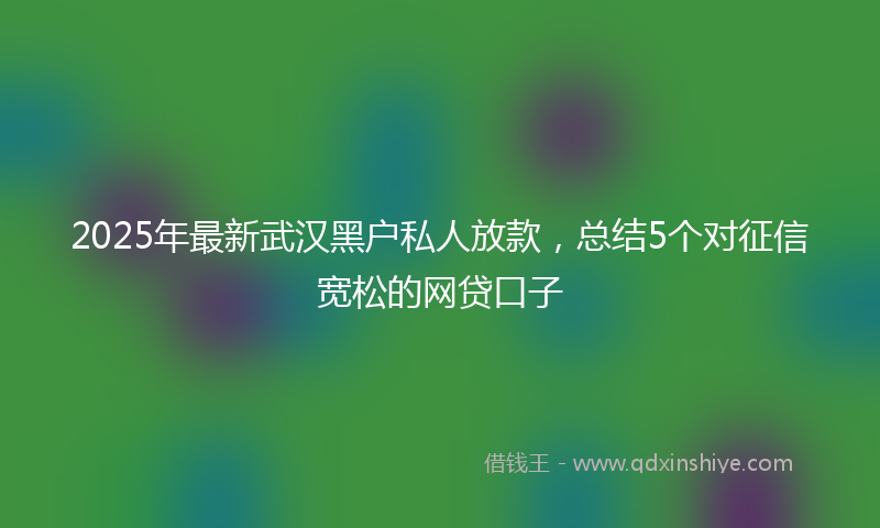 2025年最新武汉黑户私人放款，总结5个对征信宽松的网贷口子