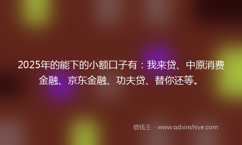 2025年的能下的小额口子有：我来贷、中原消费金融、京东金融、功夫贷、替你还等。