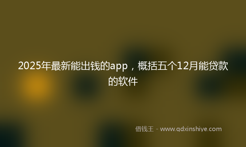 2025年最新能出钱的app，概括五个12月能贷款的软件