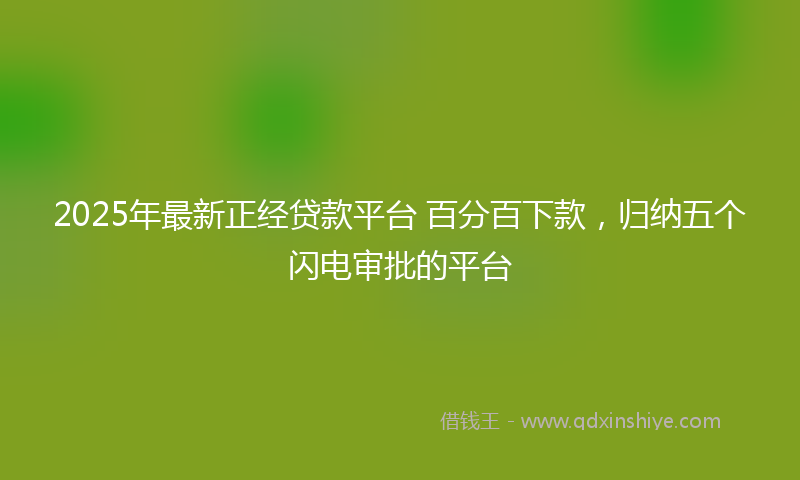 2025年最新正经贷款平台 百分百下款，归纳五个闪电审批的平台
