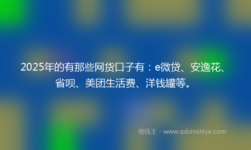 2025年的有那些网货口子有：e微贷、安逸花、省呗、美团生活费、洋钱罐等。