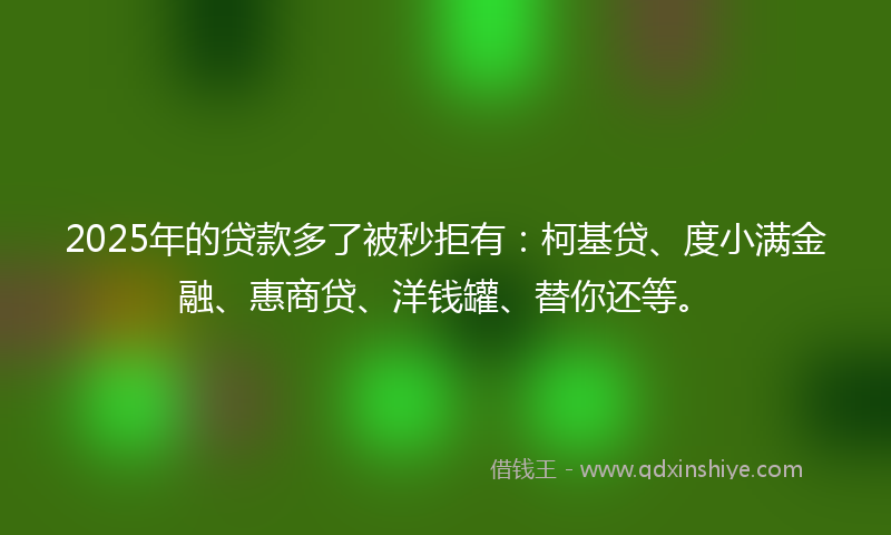 2025年的贷款多了被秒拒有：柯基贷、度小满金融、惠商贷、洋钱罐、替你还等。