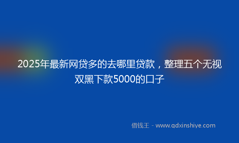 2025年最新网贷多的去哪里贷款，整理五个无视双黑下款5000的口子