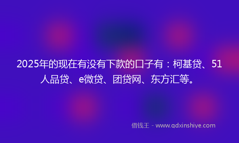 2025年的现在有没有下款的口子有：柯基贷、51人品贷、e微贷、团贷网、东方汇等。