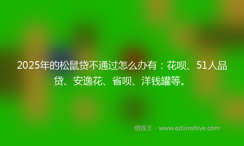 2025年的松鼠贷不通过怎么办有：花呗、51人品贷、安逸花、省呗、洋钱罐等。
