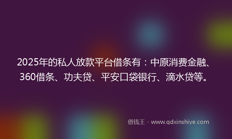 2025年的私人放款平台借条有：中原消费金融、360借条、功夫贷、平安口袋银行、滴水贷等。