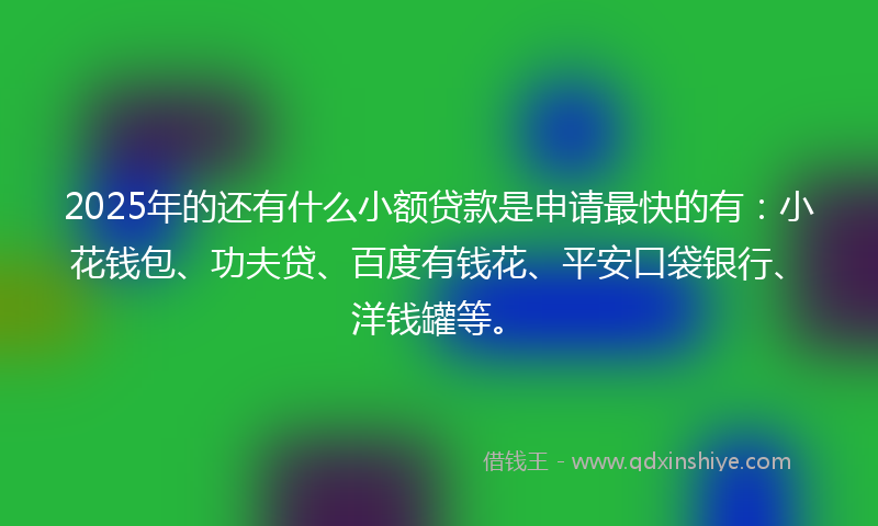 2025年的还有什么小额贷款是申请最快的有：小花钱包、功夫贷、百度有钱花、平安口袋银行、洋钱罐等。