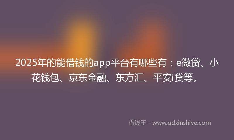 2025年的能借钱的app平台有哪些有：e微贷、小花钱包、京东金融、东方汇、平安i贷等。