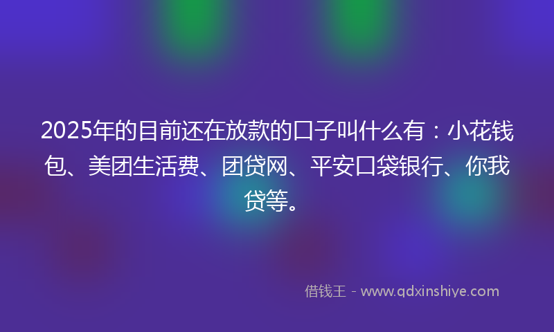 2025年的目前还在放款的口子叫什么有：小花钱包、美团生活费、团贷网、平安口袋银行、你我贷等。