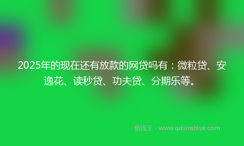 2025年的现在还有放款的网贷吗有：微粒贷、安逸花、读秒贷、功夫贷、分期乐等。