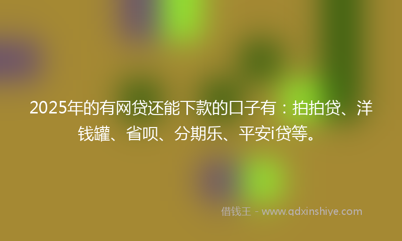 2025年的有网贷还能下款的口子有：拍拍贷、洋钱罐、省呗、分期乐、平安i贷等。