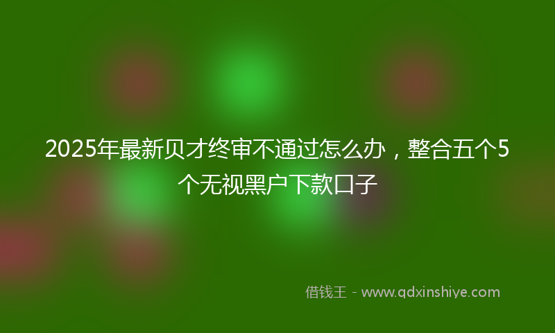 2025年最新贝才终审不通过怎么办，整合五个5个无视黑户下款口子
