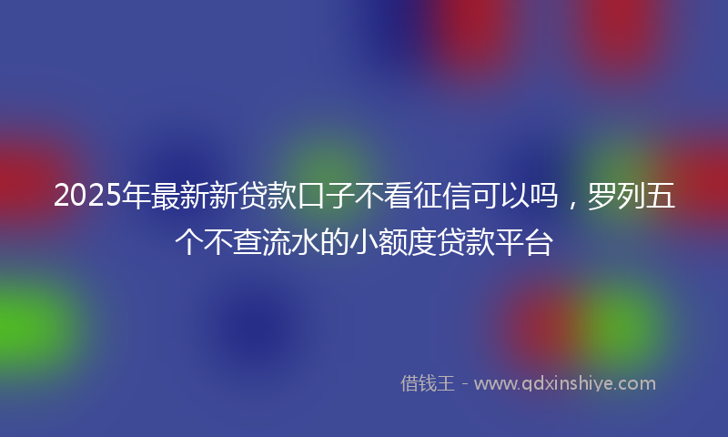 2025年最新新贷款口子不看征信可以吗，罗列五个不查流水的小额度贷款平台