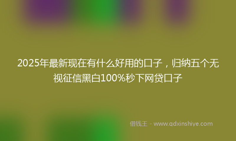 2025年最新现在有什么好用的口子，归纳五个无视征信黑白100%秒下网贷口子