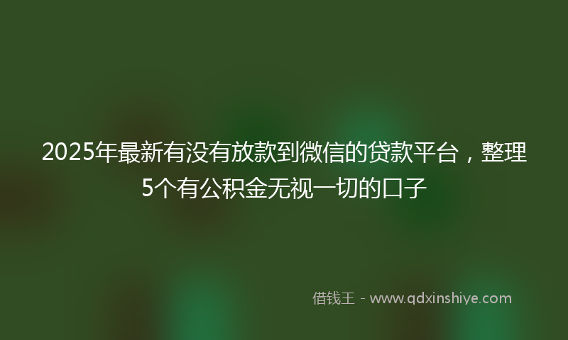 2025年最新有没有放款到微信的贷款平台，整理5个有公积金无视一切的口子